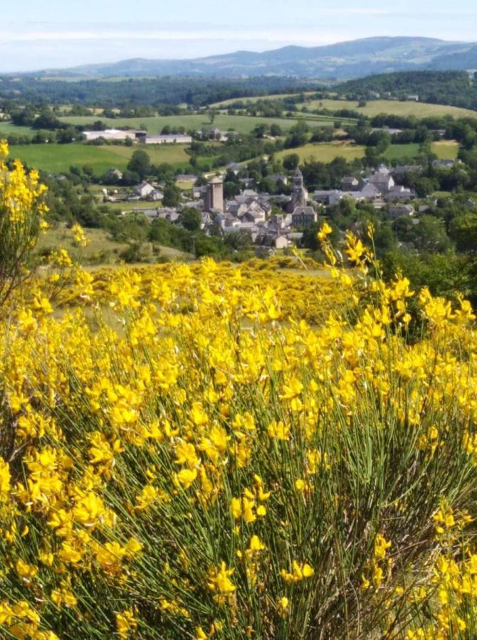 Le Gite De La Vieille Eglise De Coussergues Exteriör bild